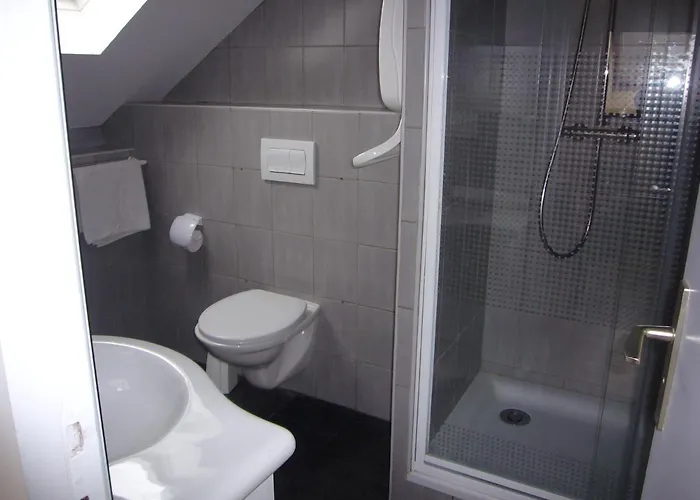 Bed & Breakfast D'hotes Du Parc 4*